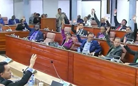 Begroting 2025 met algemene 41 stemmen aangenomen