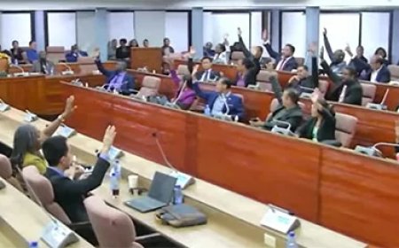 DNA eist integrale doorlichting ministeries en staatsbedrijven op corruptie