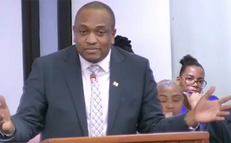 Ophef in DNA over teruggeroepen VHP-diplomaten op staatskosten