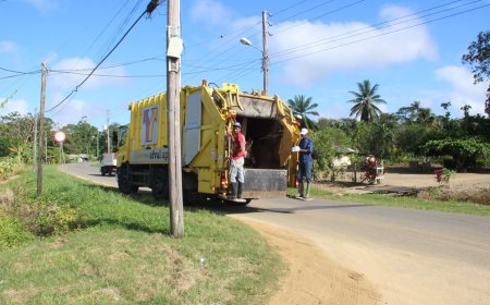 Onprofessionele vuilophaaldienst slokt miljoenen op  