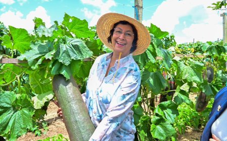 President Simons: “Suriname moet inzetten op landbouw en voedselzekerheid”