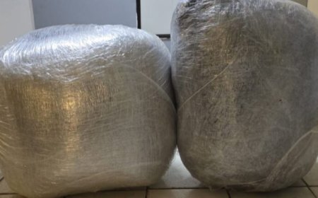 Politie onderschept 28 kilo marihuana bij controlepost Burnside