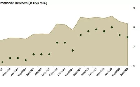SEOB: Inflatie weer op 8%, SRD zwakker, reserves sterk maar tekorten hardnekkig