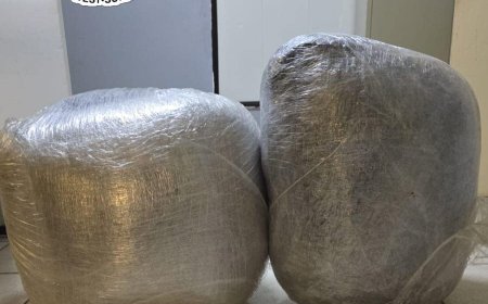 Politie onderschept 28 kilogram vermoedelijke marihuana in auto te controlepost Burnside
