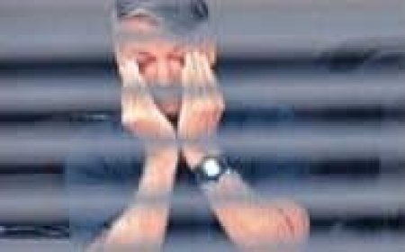 Bolsonaro: “Geen bewijs voor vermeende staatsgreep”.