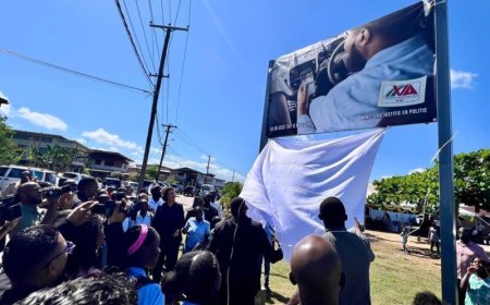 VVI-directeur Adraai: ‘Verkeersveiligheid moet niet slechts een slogan zijn, maar een nationa