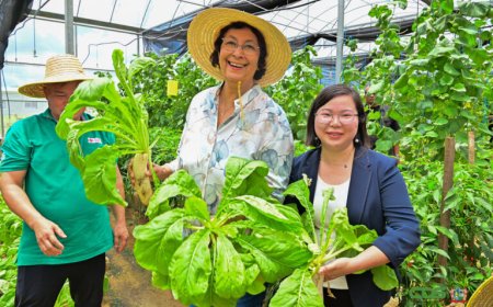 President Simons: ‘Landbouw moet versneld ontwikkeld worden’