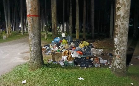 Palmentuin ruim een week na Dag der Inheemsen nog steeds vies en vuil 