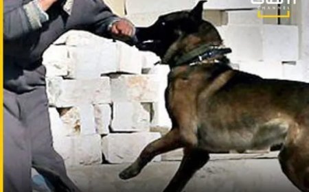 Israël beschuldigd van misbruik vrouwelijke Palestijnse gevangenen