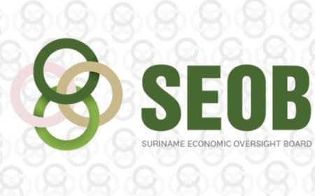 SEOB: vervolg IMF-programma noodzakelijk voor duurzame groei