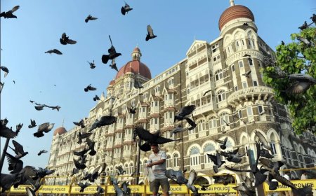 Voederverbod voor duiven in Mumbai leidt tot hevig debat in India