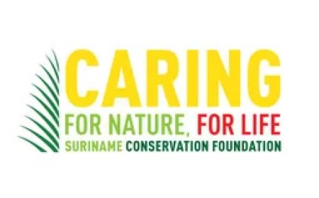 Wondgenezende werking van mokomoko wetenschappelijk bevestigd