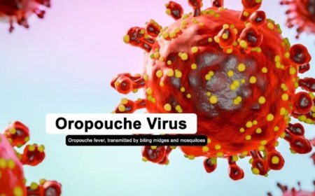 PAHO meldt meer dan 12.000 gevallen van Oropouche-virus in Latijns-Amerika