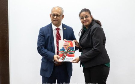 BESCHOUWING — De donkere schaduw boven Ramdin