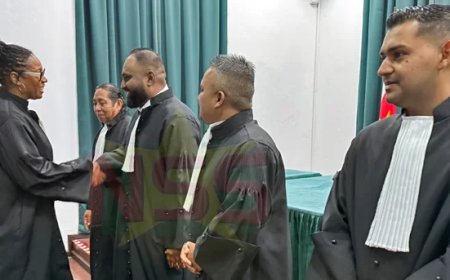 Fraenk: Advocaten zijn geen politieke actoren, maar waken wel