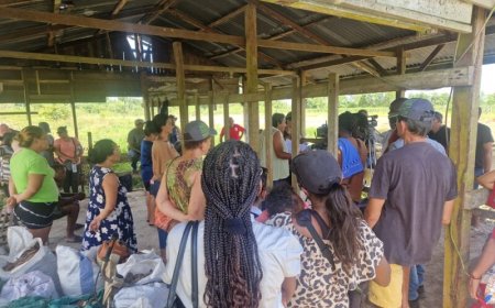 Regering grijpt in: percelen Reeberg terug bij gedupeerden