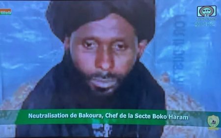 Leger Niger verklaart leider Boko Haram te hebben gedood 