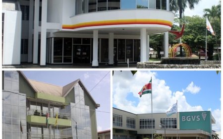 Kabinet president opent sollicitaties SZF, SLM en BGVS