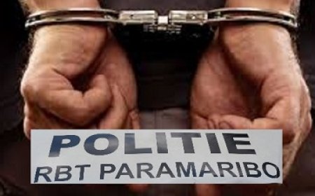 RBTP rolt roversbende op; vijftal aangehouden en ingesloten