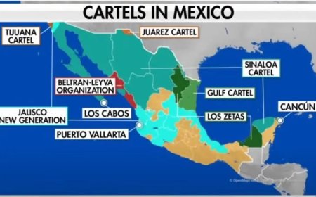 Mexico in de greep van de cartels: senator luidt noodklok