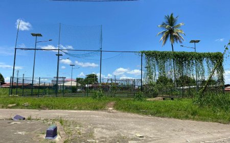 Kunstgrasvelden overwoekerd