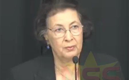 President Simons: SLM moet losgekoppeld worden van politieke bemoeienis