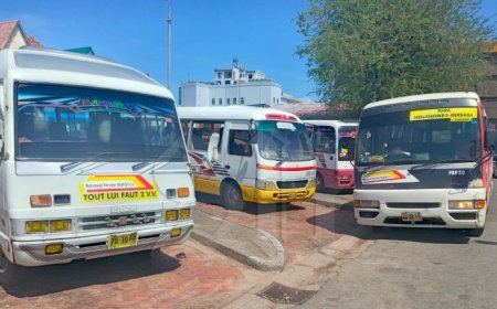 Passagiers gedupeerd door stilgelegde NVB-bussen