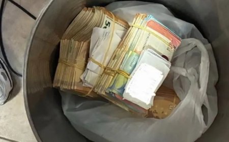 Routinecontrole leidt tot bizarre vondst in Rotterdam