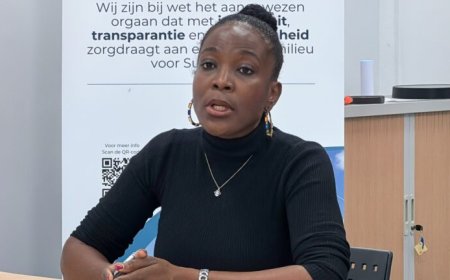 NMA-directeur Gefferie: rapport over kwikblootstelling in Paramaribo-Noord nog in studie