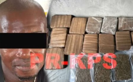 Drugssmokkelaar (45) in de kraag gevat bij controlepost Stolkertsijver