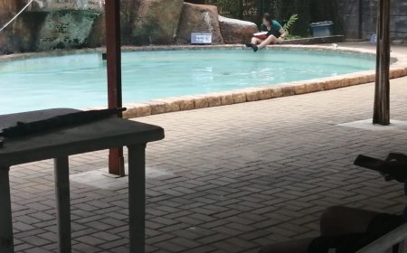 Verwarde vrouw zorgt voor opschudding in zwembad Paramaribo ZOO