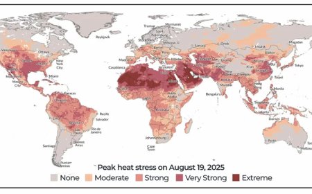 Waarom voelt de temperatuur warmer aan dan de weersverwachting aangeeft?