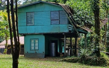 Brownsberg Natuurpark biedt al vele, vele jaren een trieste aanblik