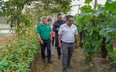 Suriname en China ronden eerste fase landbouwproject af