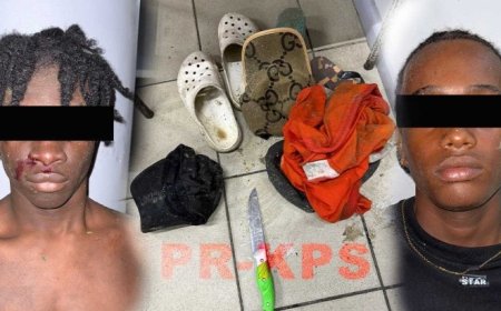 Jeugdig trio berooft taxichauffeur van telefoon