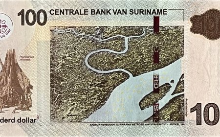 Tiener die vakantiewerk doet: “Een SRD 100 biljet in je zak betekent bijna niets”