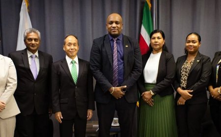 Minister Bouva bespreekt versterking samenwerking met Japan