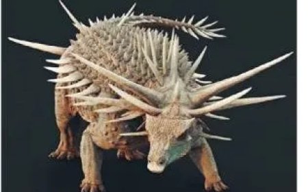 Bizarre dinosaurus met lange stekels ontdekt