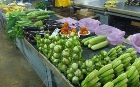 Prijslijst groenten vrijdag 29 augustus 2025