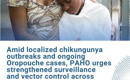 PAHO wil versterkte surveillance en vectorbestrijding in Noord- en Zuid-Amerika vanwege uitbr