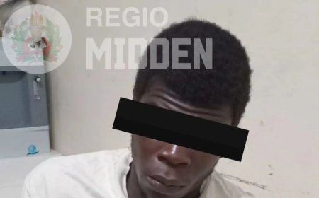 Voortvluchtige verdachte van mishandeling van zijn ex-vrouw aangehouden met schotwond