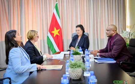 VN-functionaris Joanna Kazana voert gesprek met president Simons