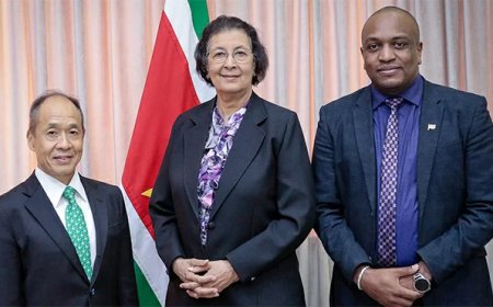 President Simons en Japanse ambassadeur verdiepen bilaterale samenwerking