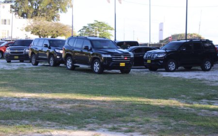 BLIJVENDE HONGER NAAR VOERTUIGEN