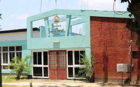 5000 verwijderde e-mails leiden tot schorsing LVV-directeur: staat mogelijk SRD 40 miljoen kw