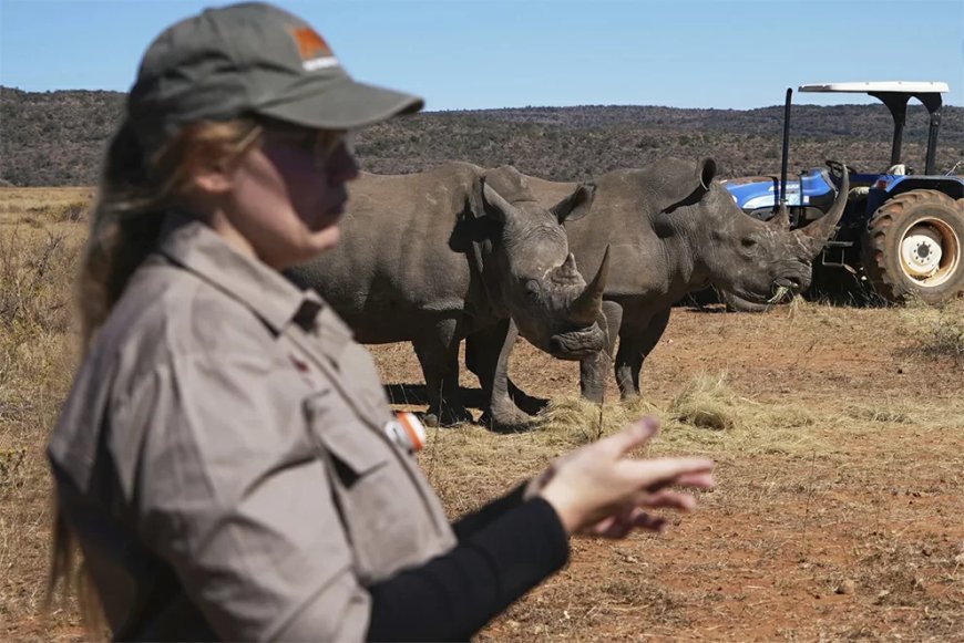 Zuid-Afrika start unieke anti-stroperijcampagne