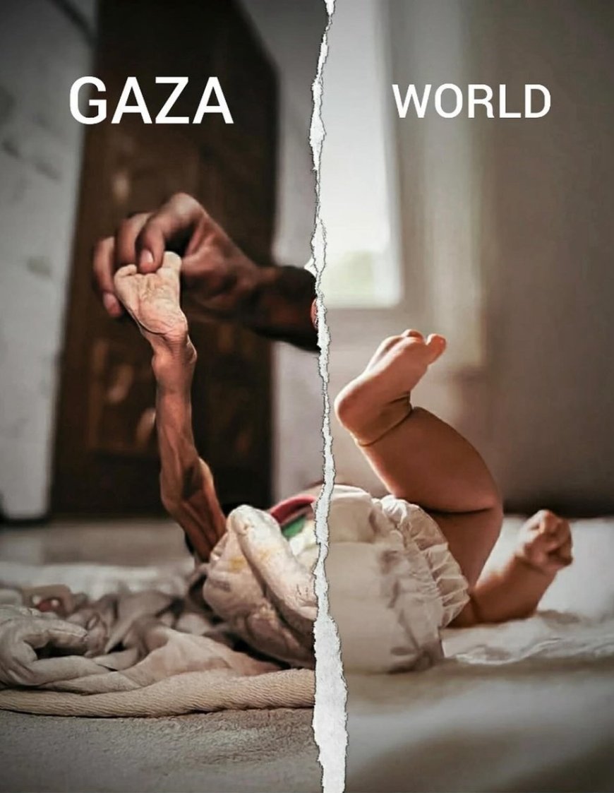 Nederland trekt boetekleed aan: ‘Luchtdroppings zijn geen humanitair beleid’