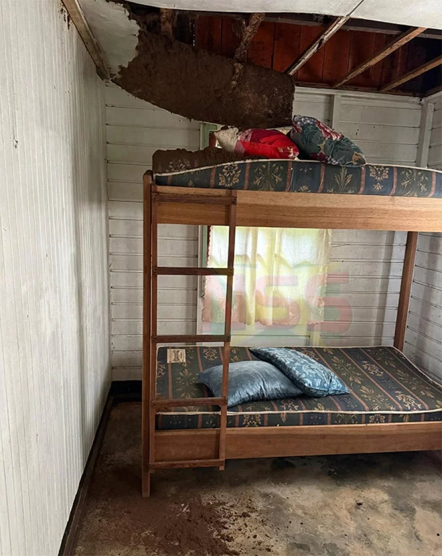 Investering in Brownsberg leidt tot spanningen: erfgoed of commerciële overname?