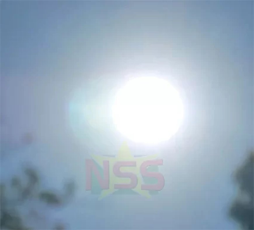 Volop zon op deze zondag