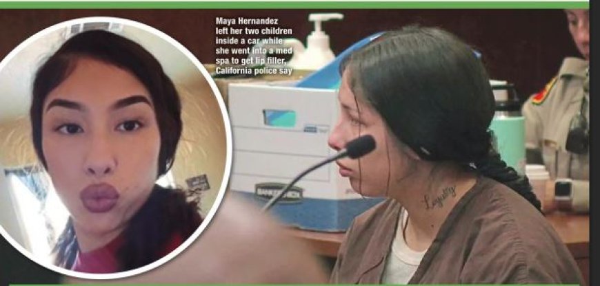 Aantal verwaarloosde kinderen dat sterft in hete auto’s blijft stijgen